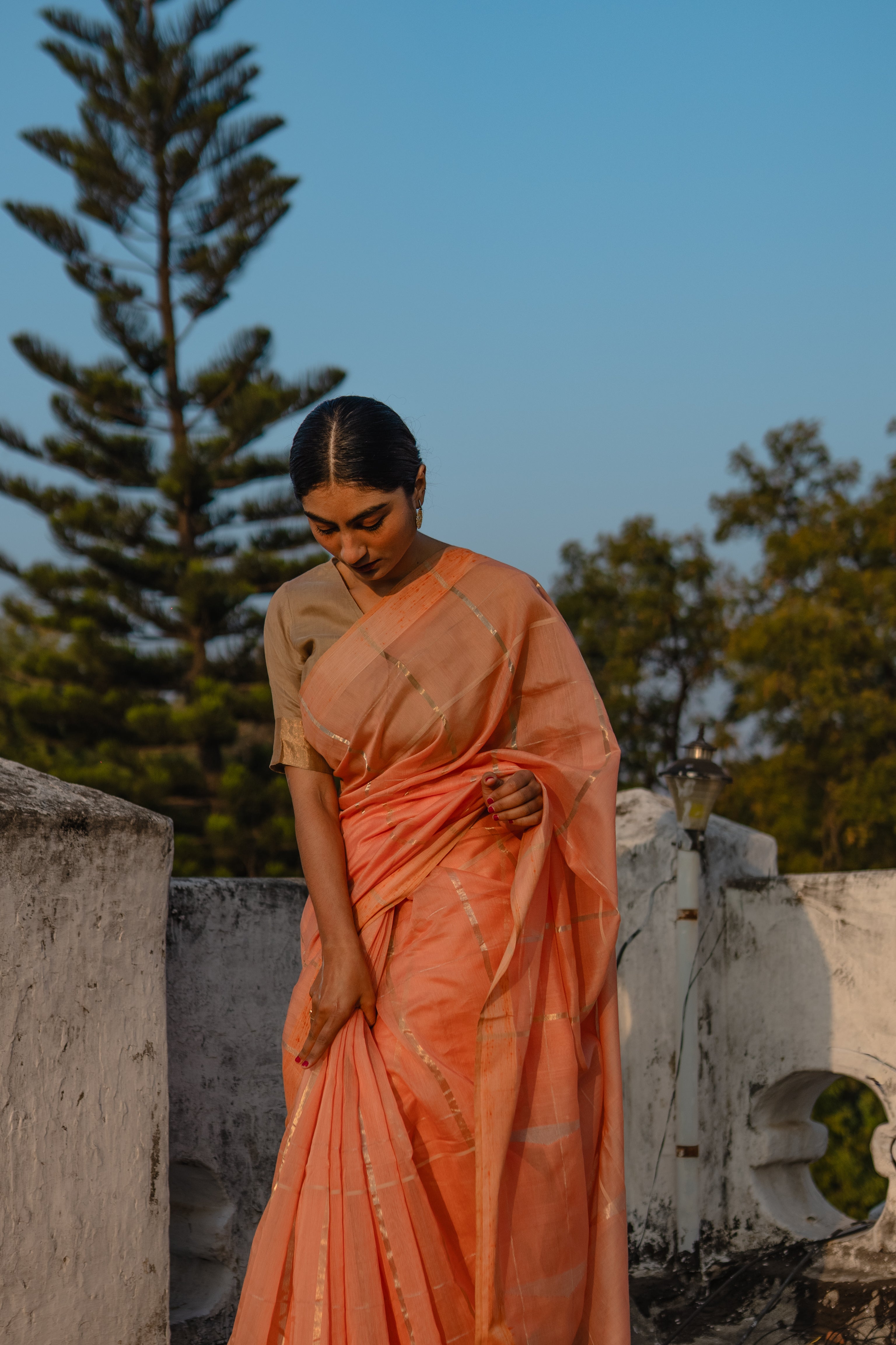 Radiance Sari