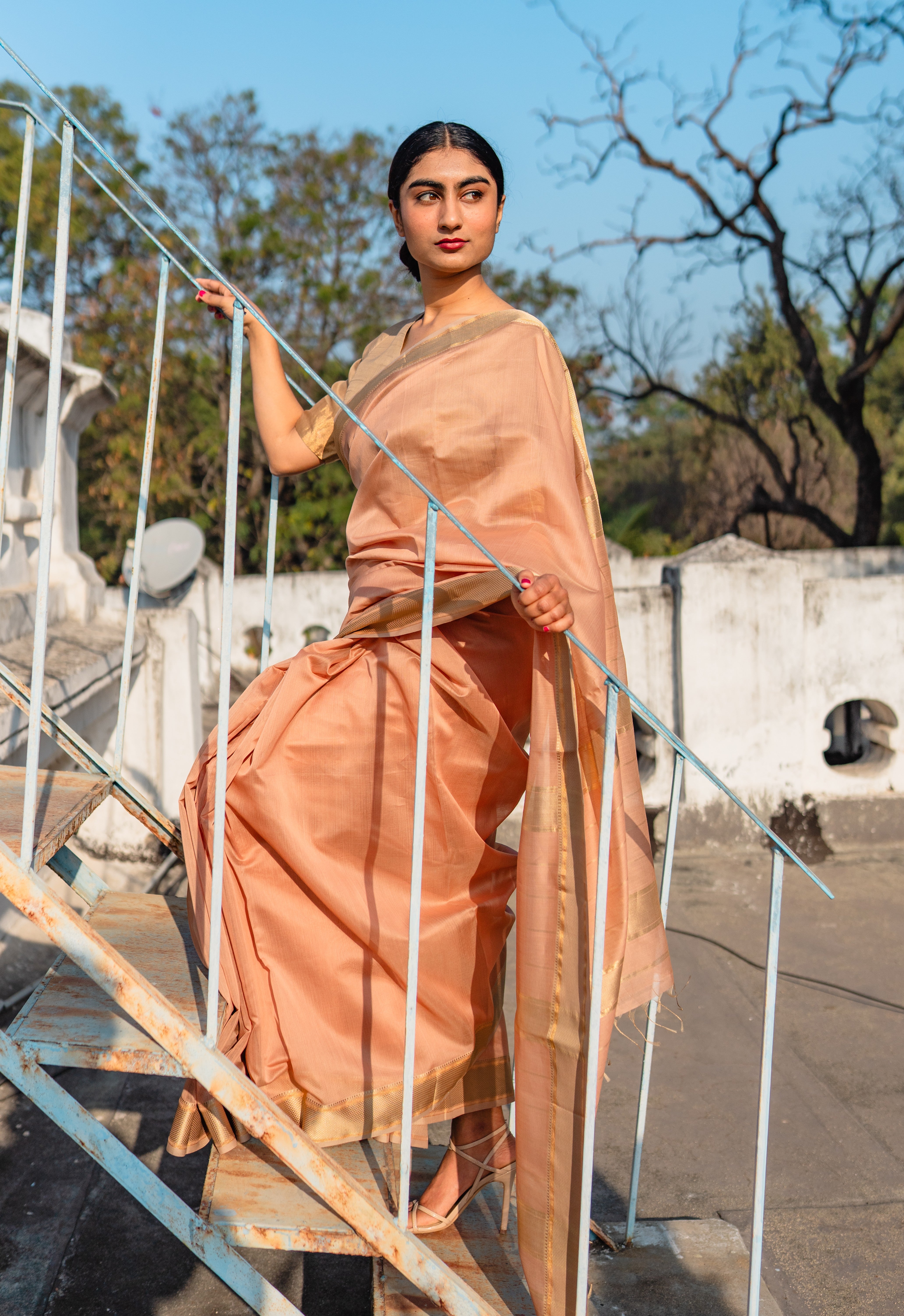 Aura Passion Sari