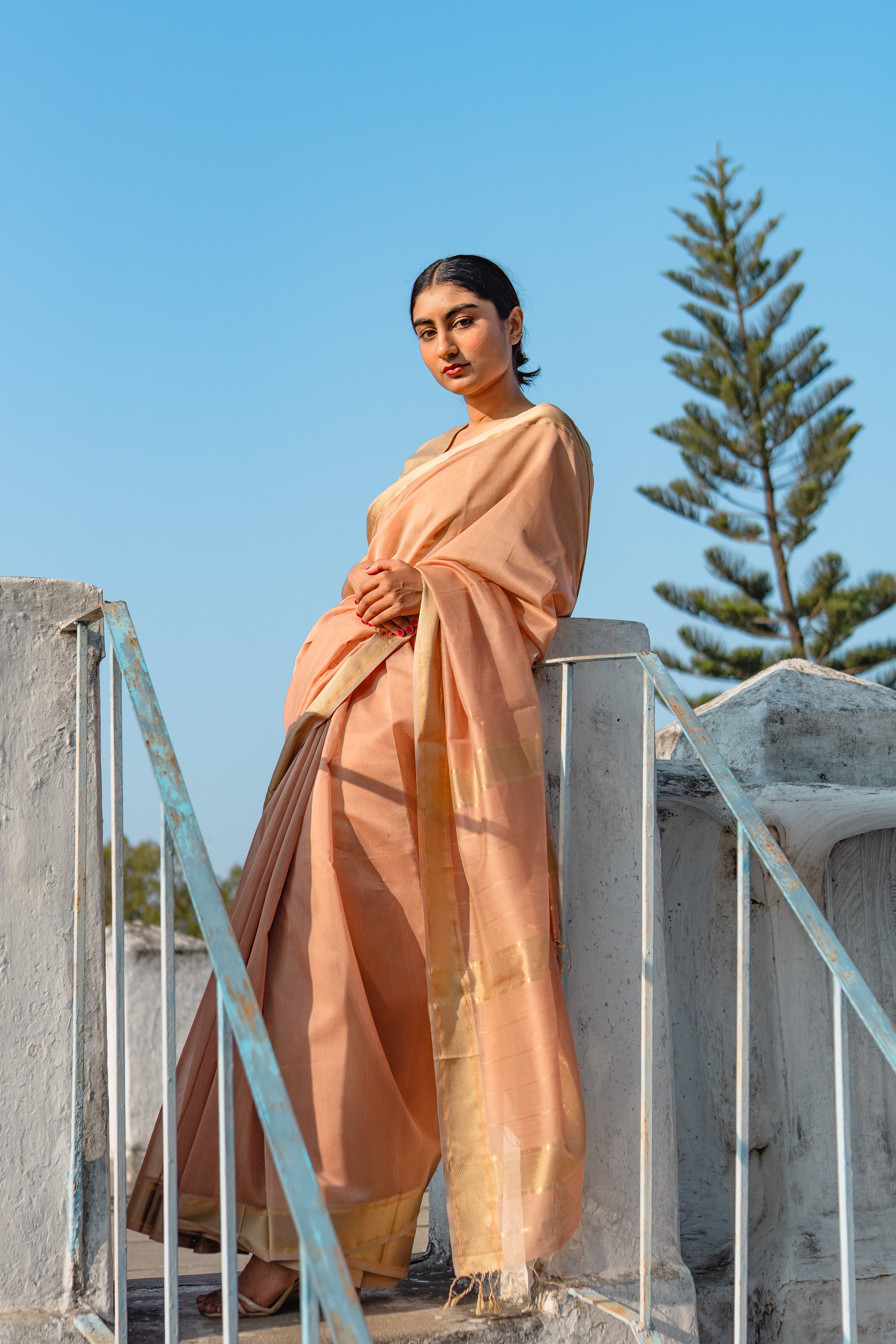 Aura Passion Sari