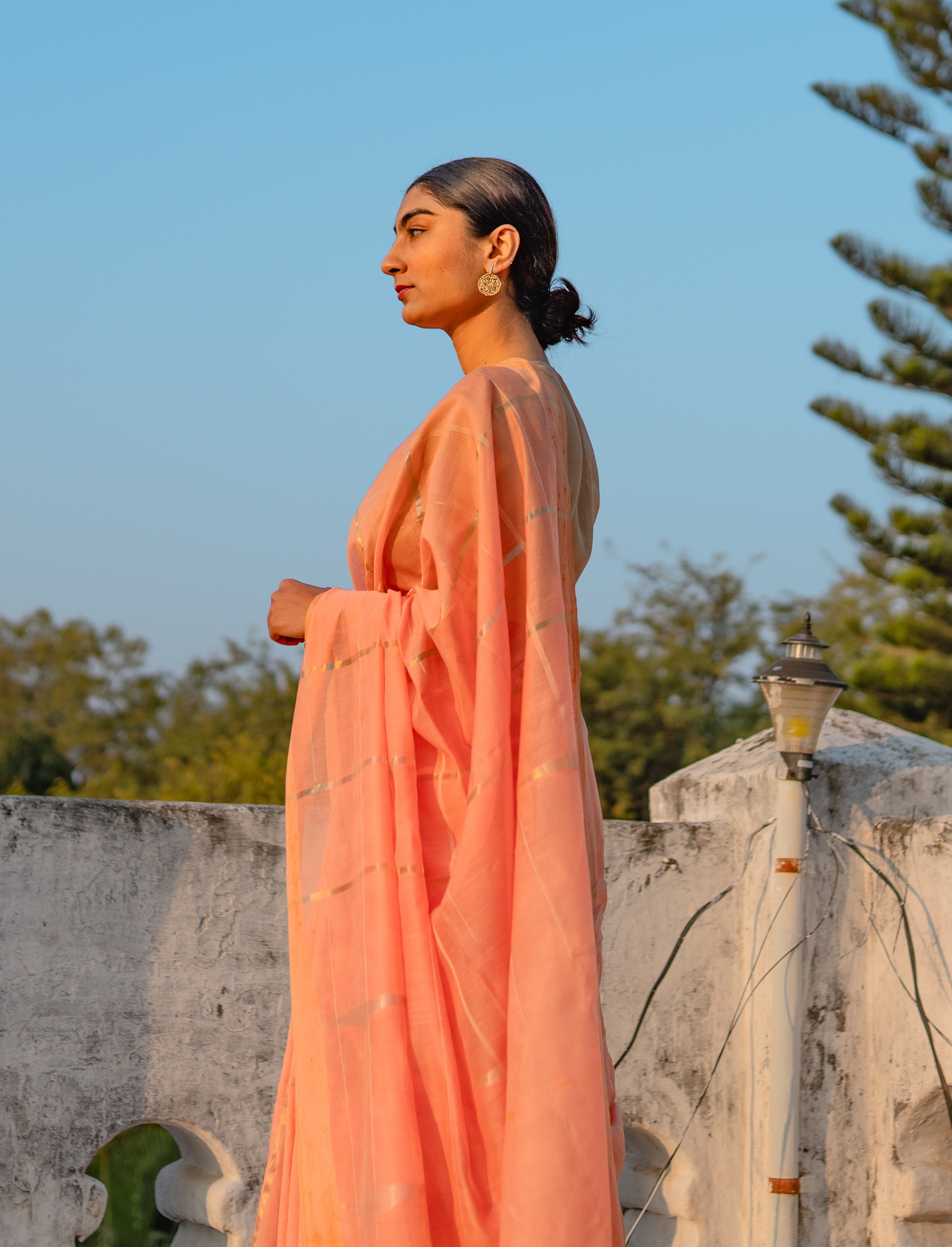 Radiance Sari