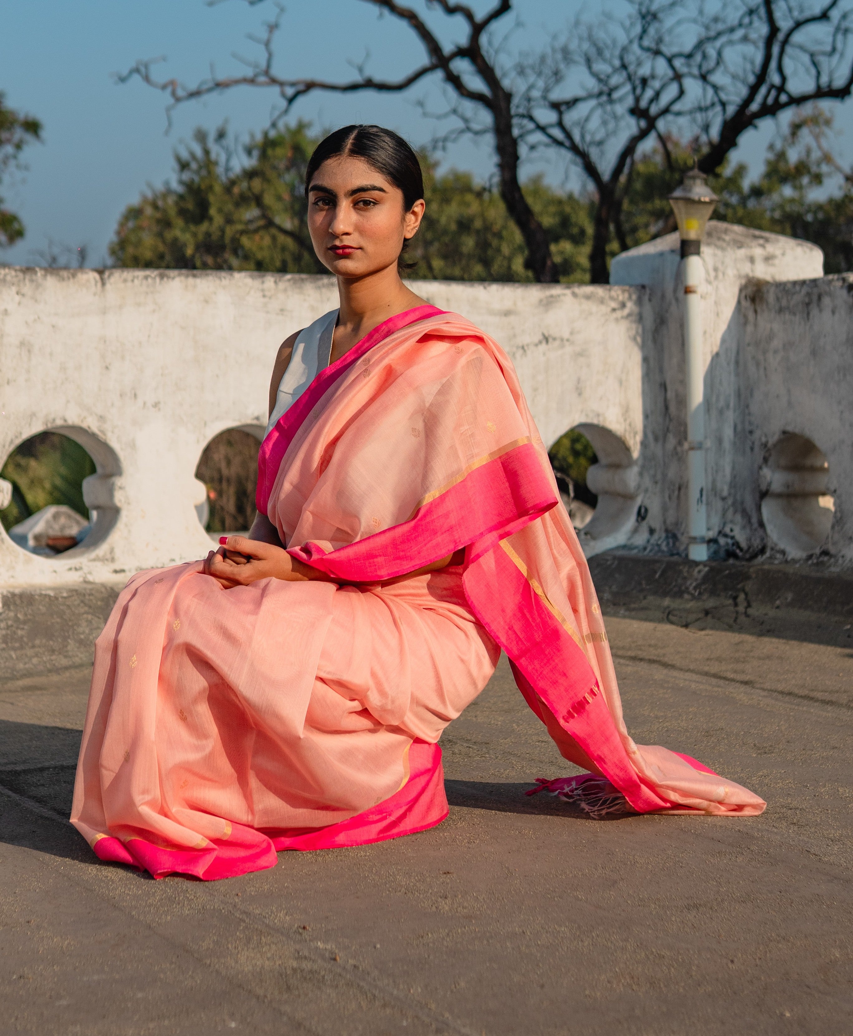 Rosé Paisley Sari