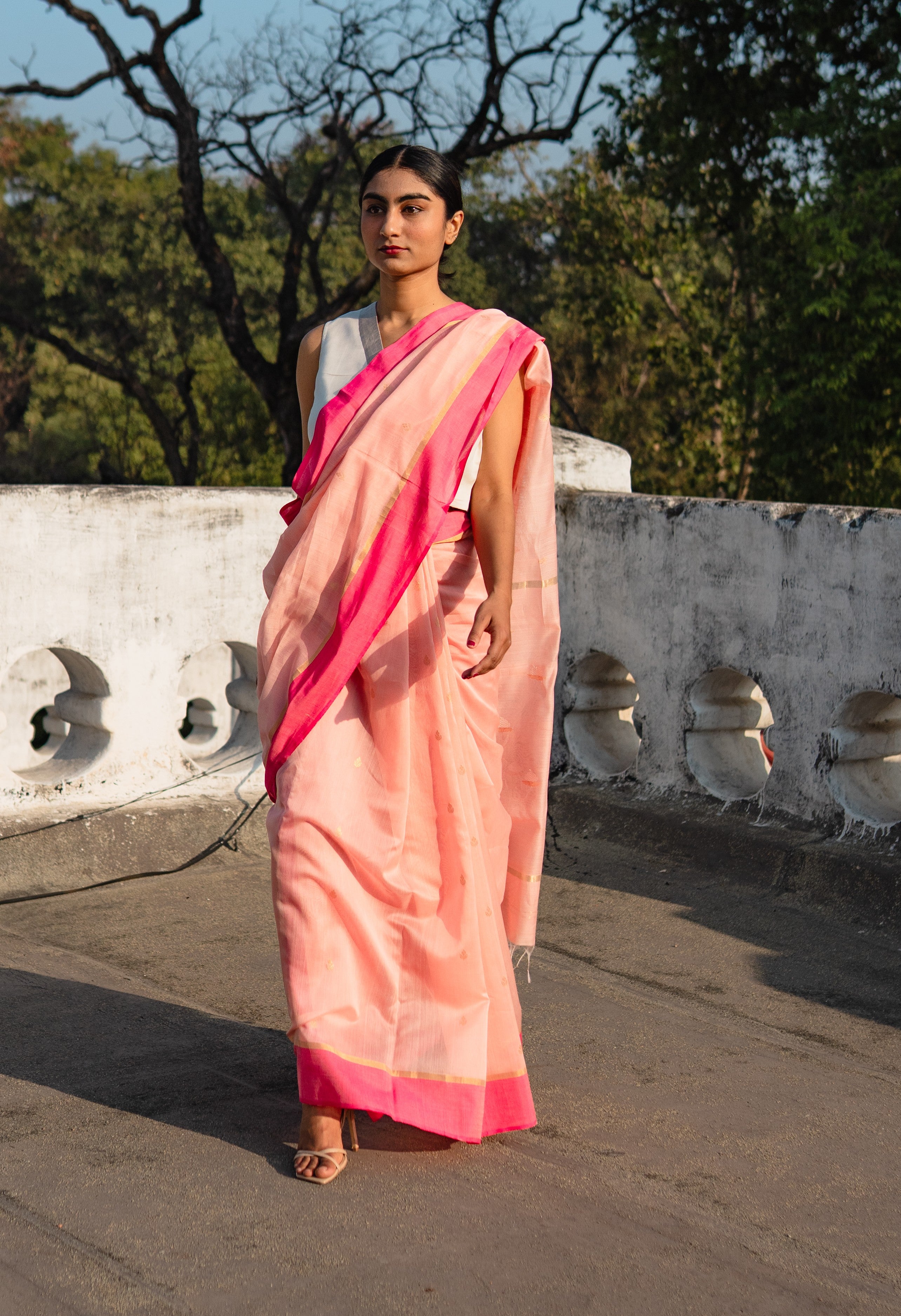 Rosé Paisley Sari