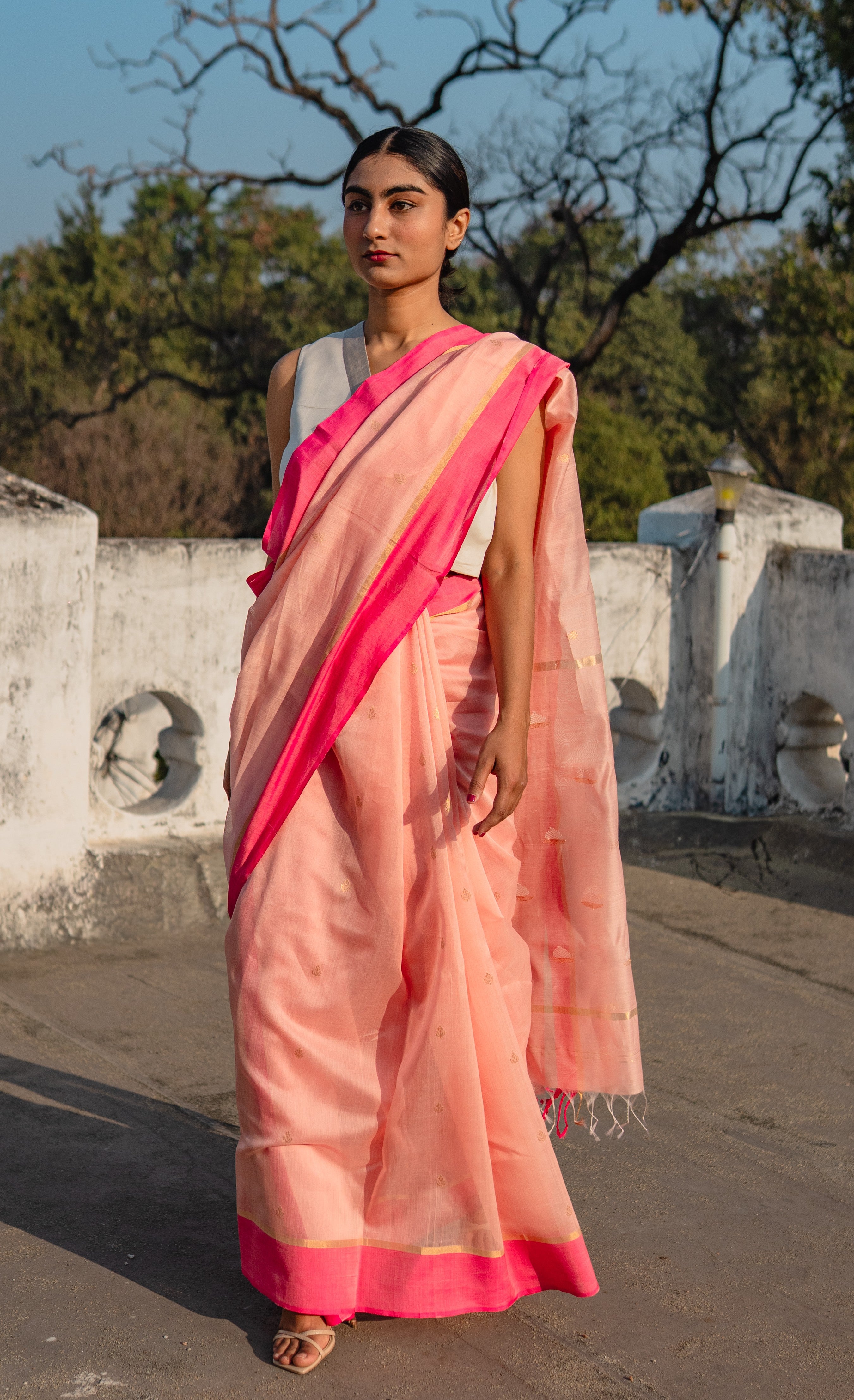 Rosé Paisley Sari